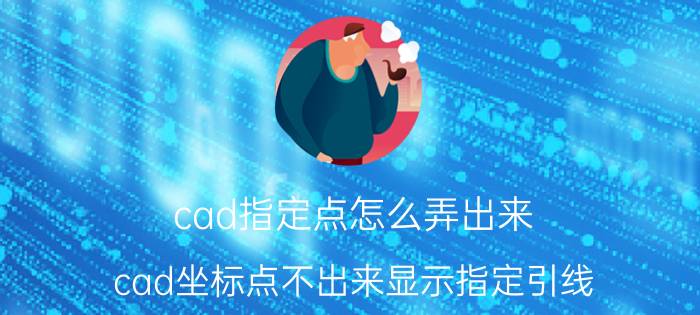 cad指定点怎么弄出来 cad坐标点不出来显示指定引线？